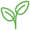 8.webp